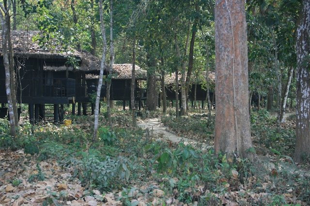 [Chitwan+huts.jpg]