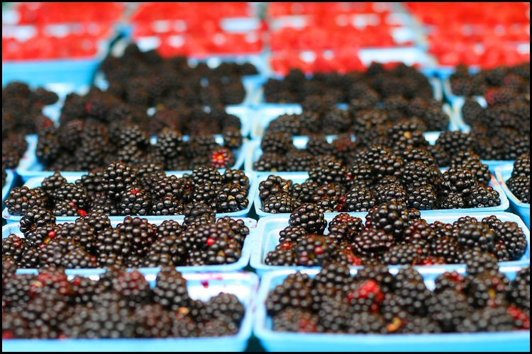 [kitsilano+market+blackberries+copy.jpg]