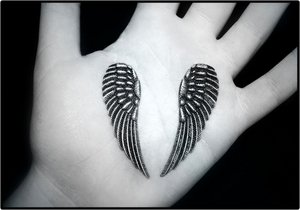 [wings__by_skaterboyyy1.jpg]