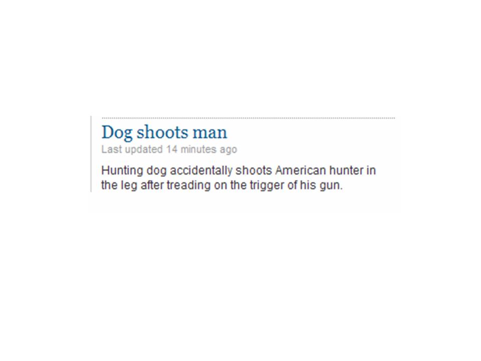 [Dog+shoots+man.jpg]