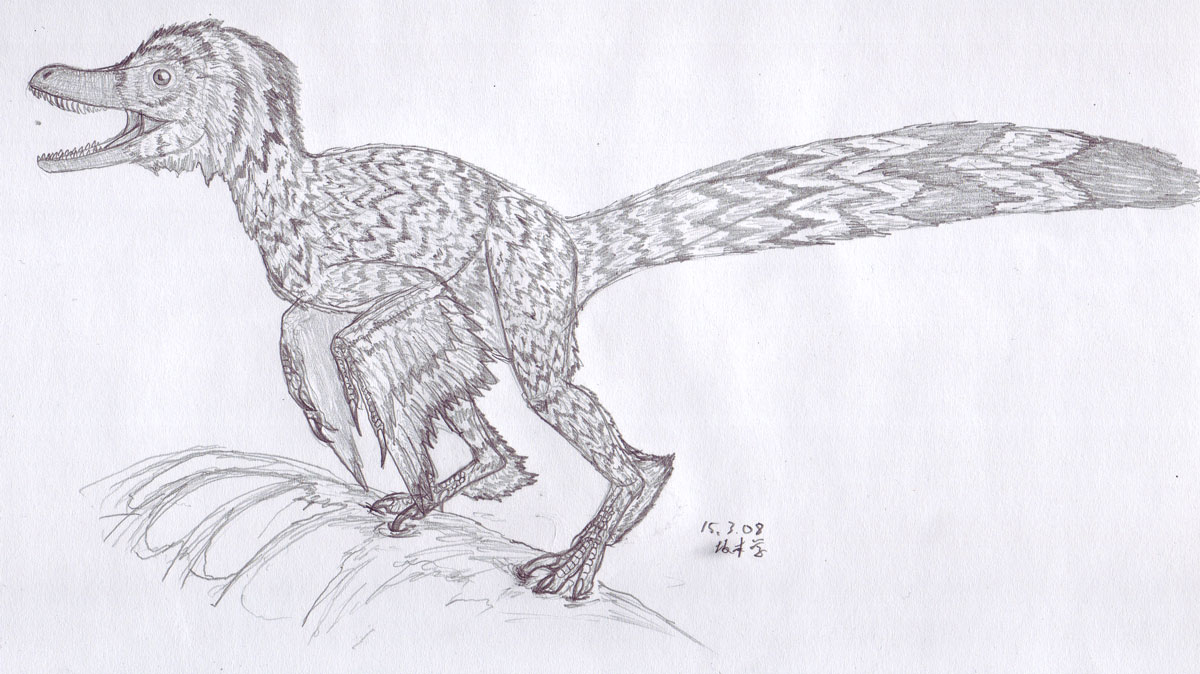 [Velociraptor_1200.jpg]
