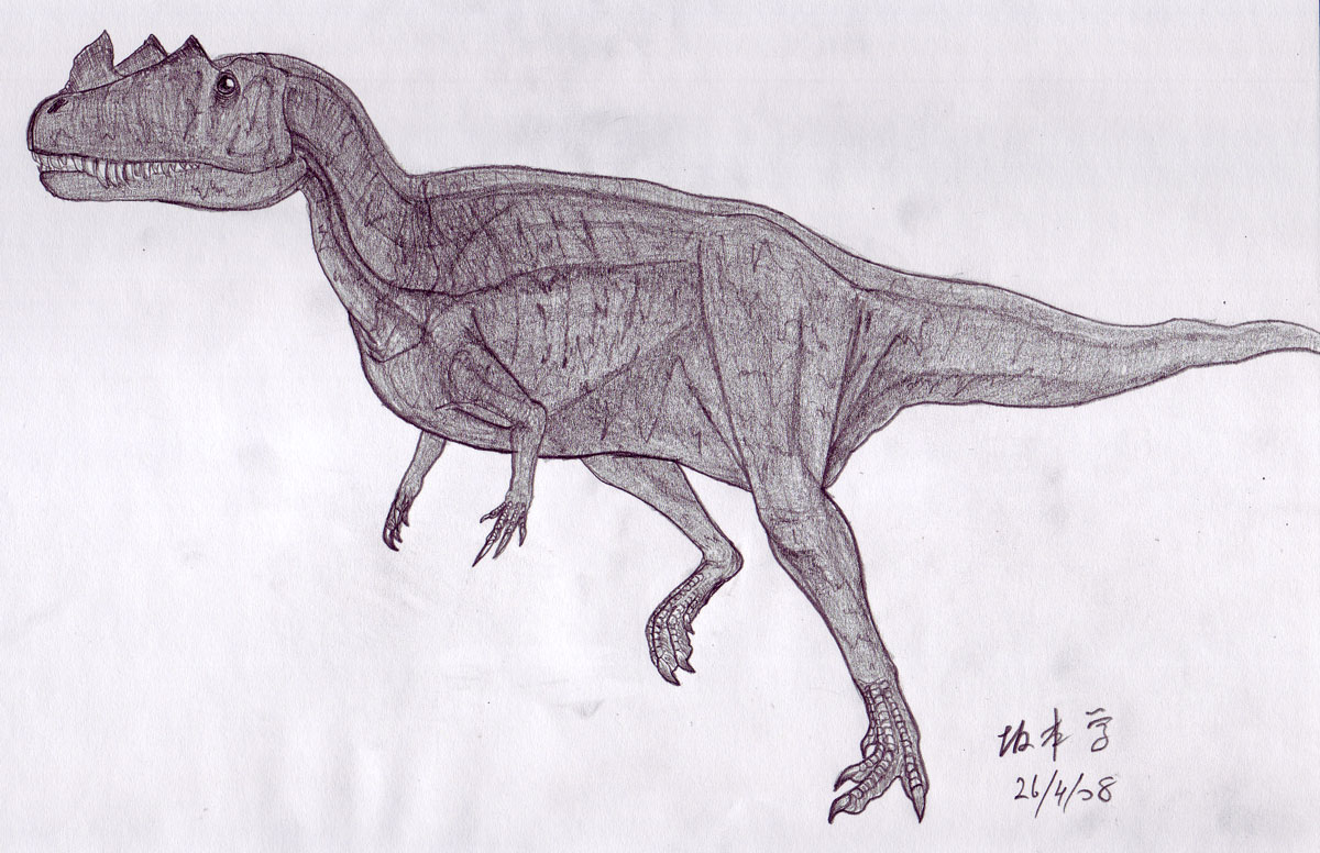 [Ceratosaurus_20080426_1200.jpg]