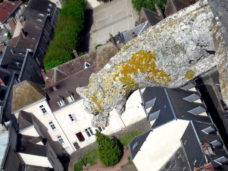 [Chartres+Town+&+Tower+Gargoyle.JPG]