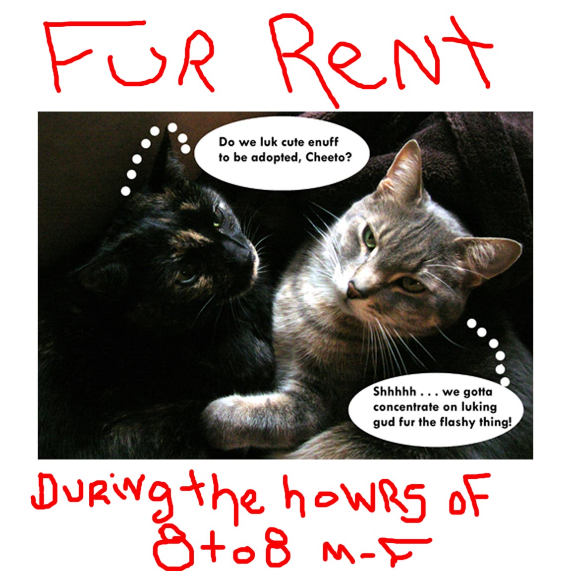 [For+rent+picture.JPG]