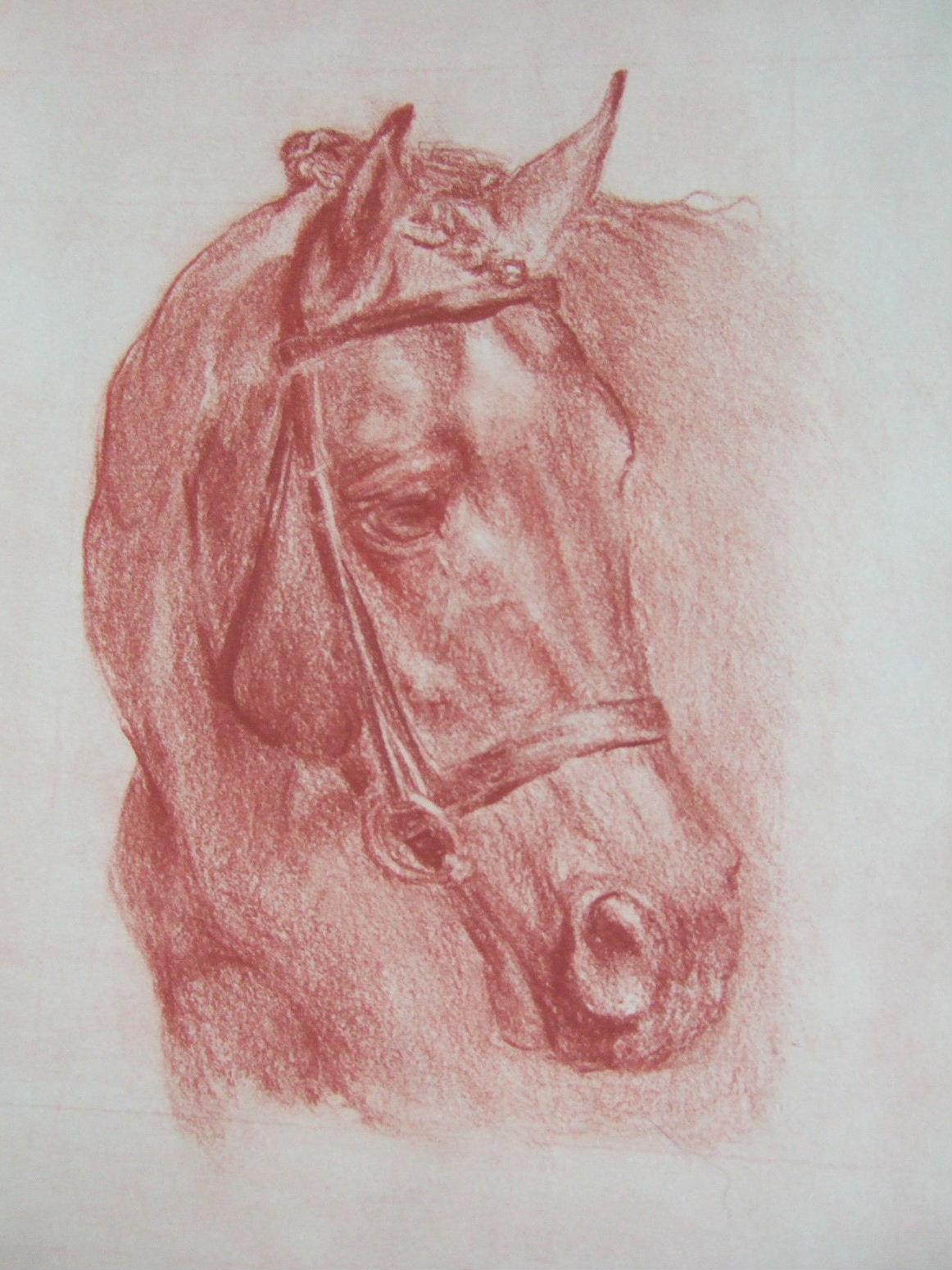 [Horse+head+-+red+chalk.JPG]