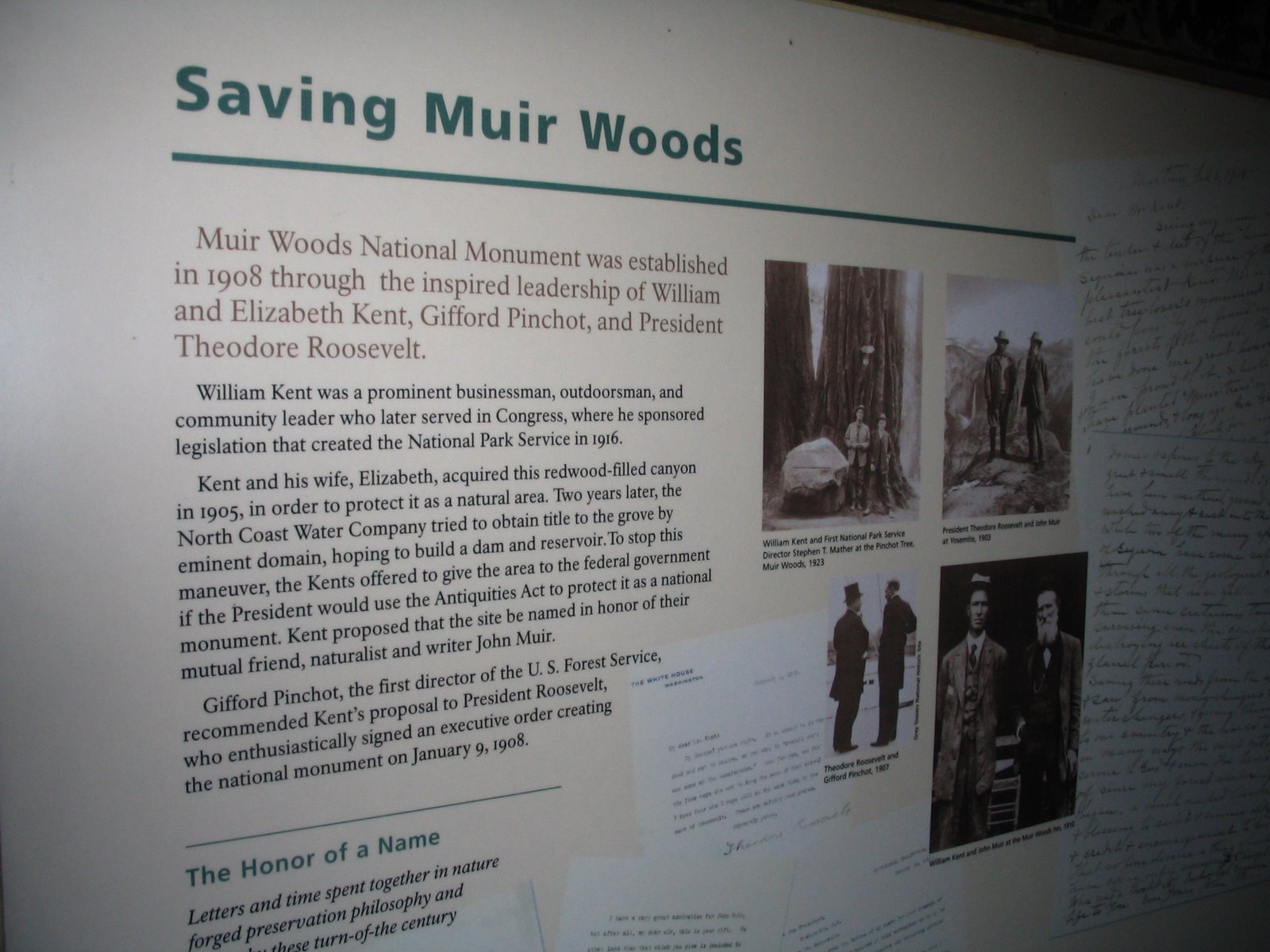 [Muir+Woods+National+Monument+040.jpg]