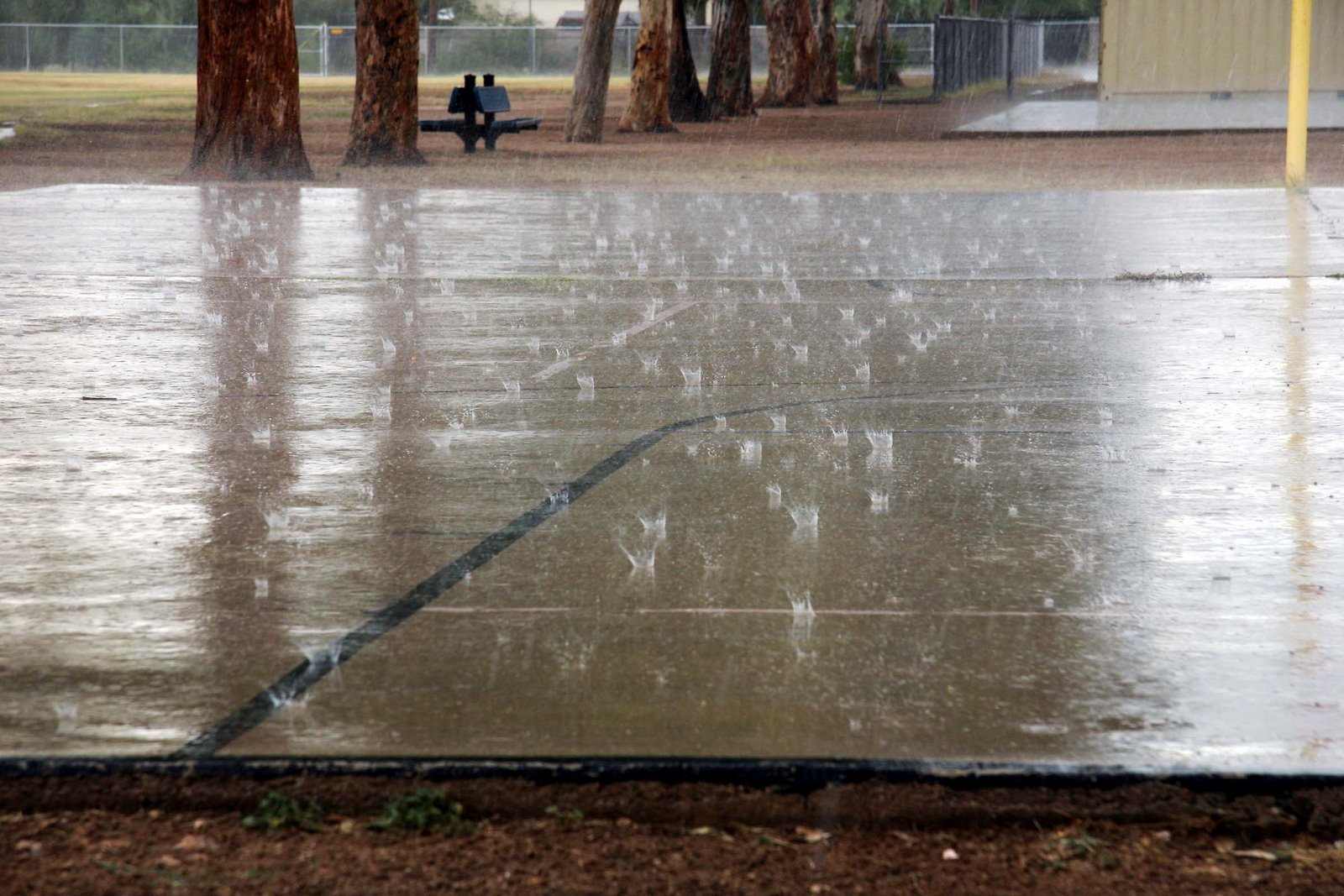 [rain+on+pavement.jpg]
