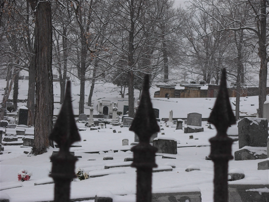 [cumberland+cemetery.JPG]