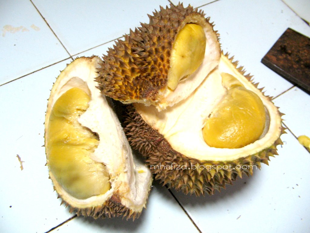 [durians.jpg]