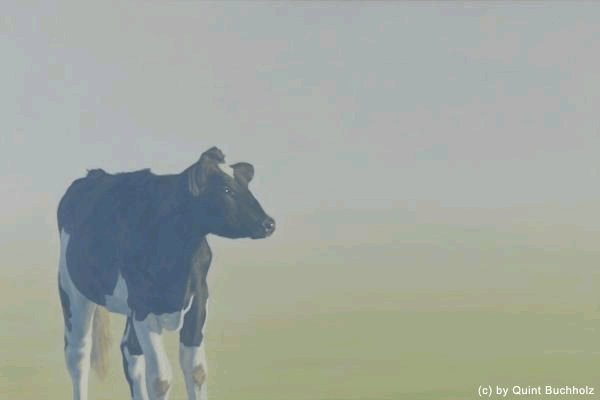 [cow.bmp]