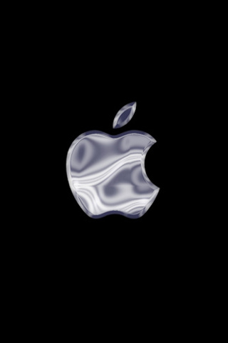 [Apple-Company-Silver-Logo.jpg]