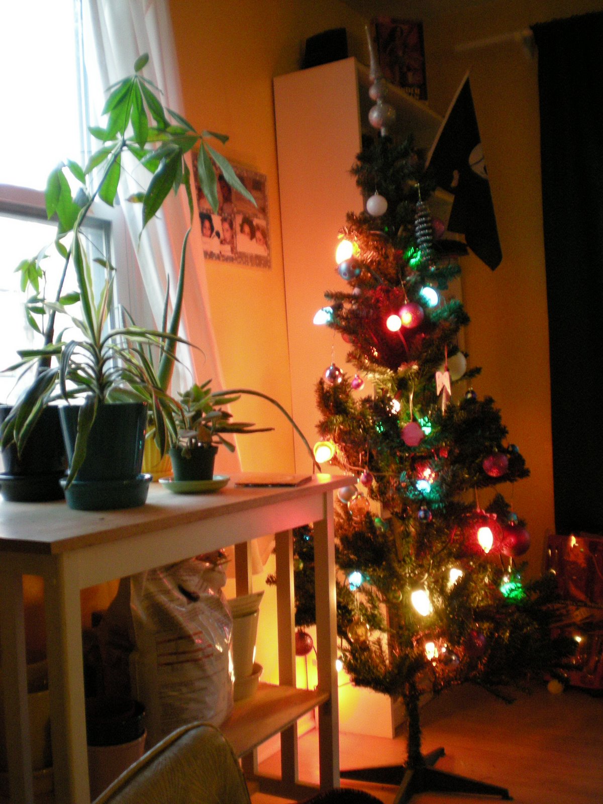 [Christmas+tree+1.JPG]