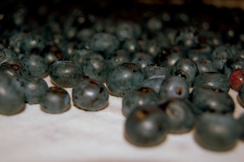[blueberries2small.jpg]