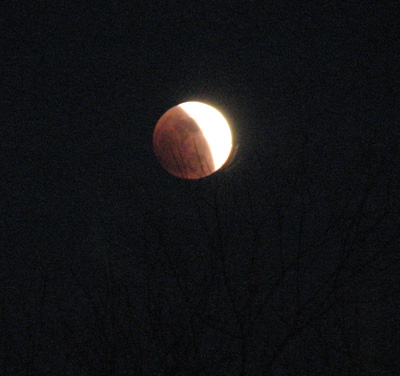 [moon-eclipse-feb-20-08-pic1.jpg]