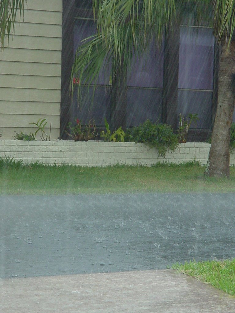 [DSC00475++Florida+RAIN.jpg]