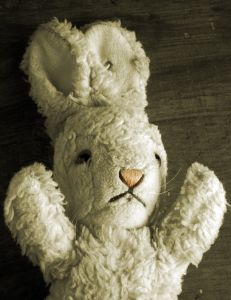 [676719_cuddly_bunny.jpg]