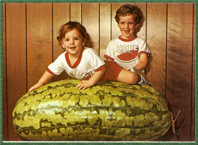 [giant+watermelon.jpg]