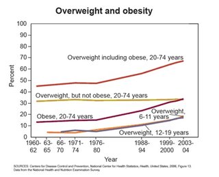 [Overweight+and+obesity.jpg]