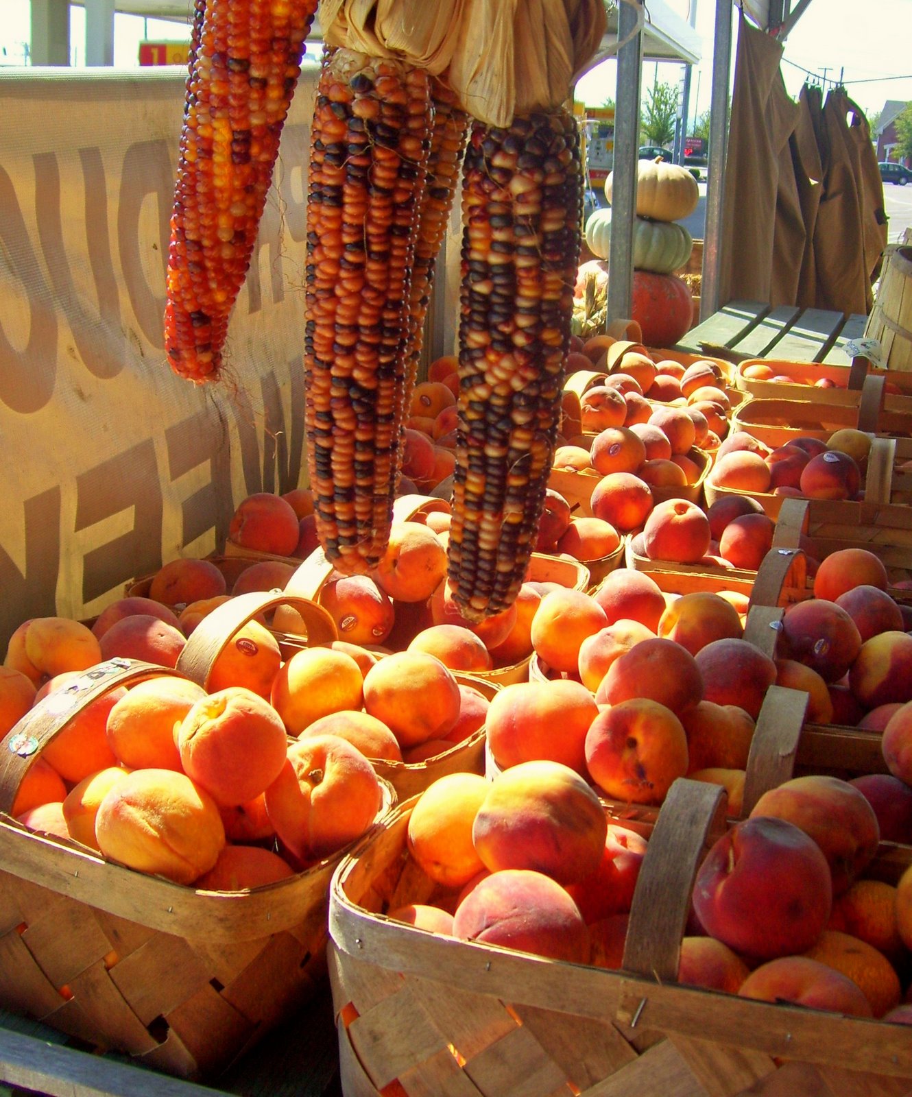 [brentwood-farmers-market-peaches.jpg]