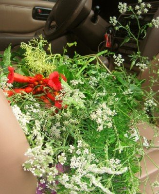 [wildflowers-in-car.jpg]