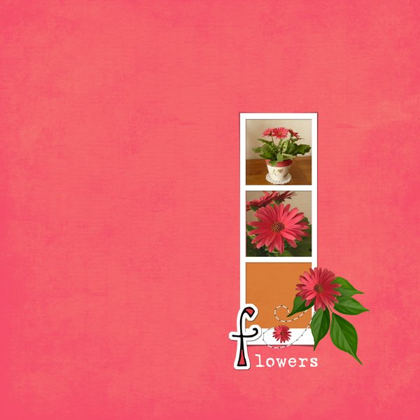 [Flowers+copie.jpg]