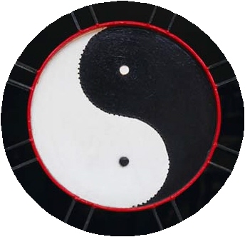 [yin+yang.jpg]