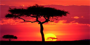 [Masai-Mara-Plains-Kenya-Print-C12041999.jpeg]