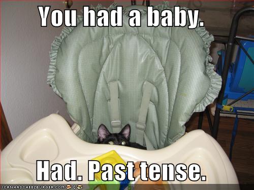 [funny-pictures-cat-baby-chair-past-tense.jpg]