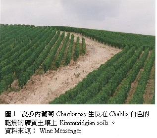 [ch2+葡萄酒的釀造2008_html_m77b6be76.gif]