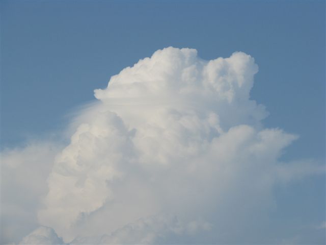 [Gulf+Clouds+1.jpg]
