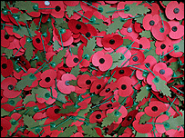 [_42279262_poppies_203getty.gif]