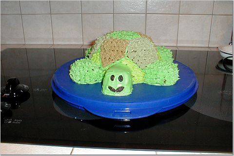 [Turtle+cake+2.jpg]
