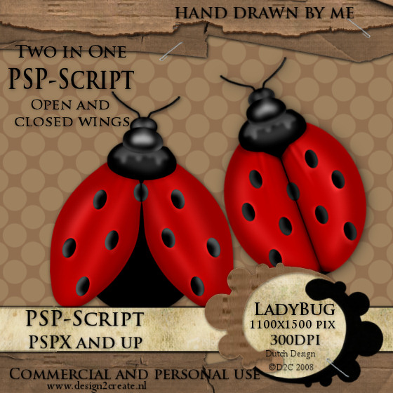 [LadyBug-PSP-Script.jpg]