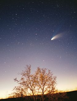 [Comet.jpg]