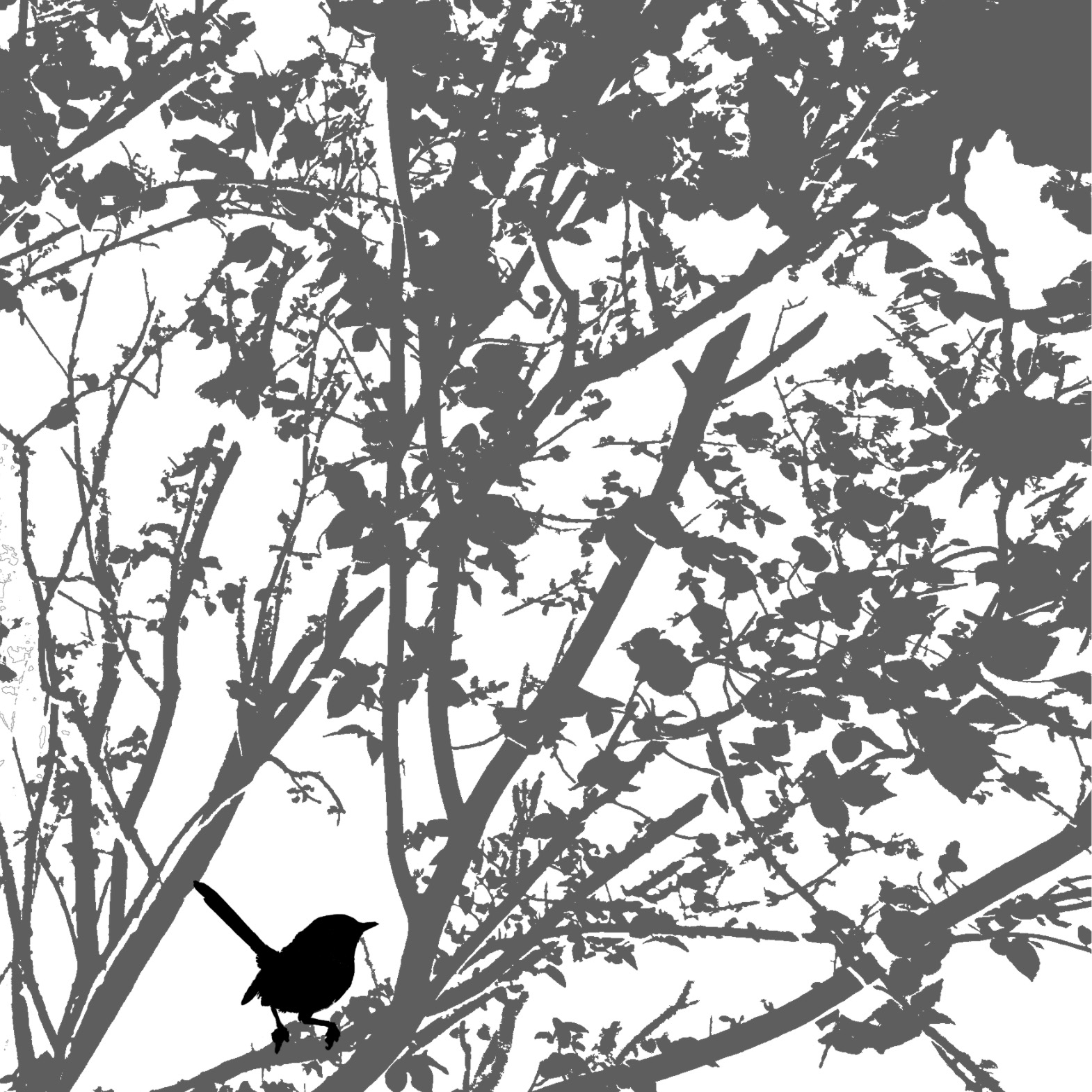 [tree+and+bird2.jpg]