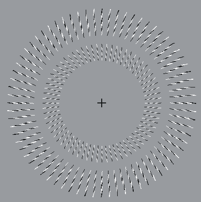 [circle+ilusion.gif]