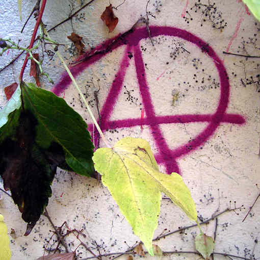 [anarchygraffiti.jpg]
