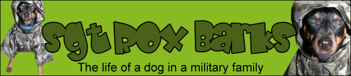 Sgt Rox Barks