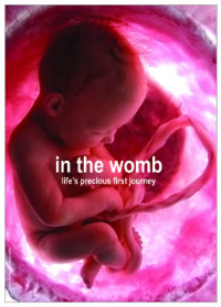 [Ιn+the+womb.jpg]