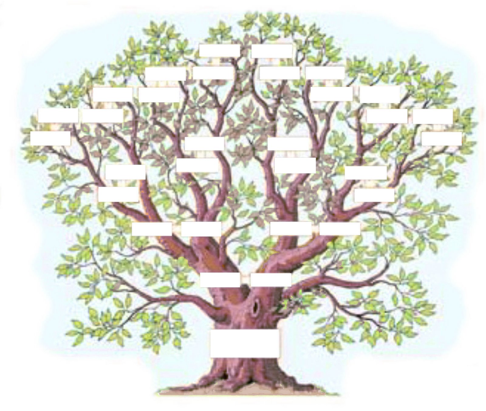 [exemple-arbre.jpg]