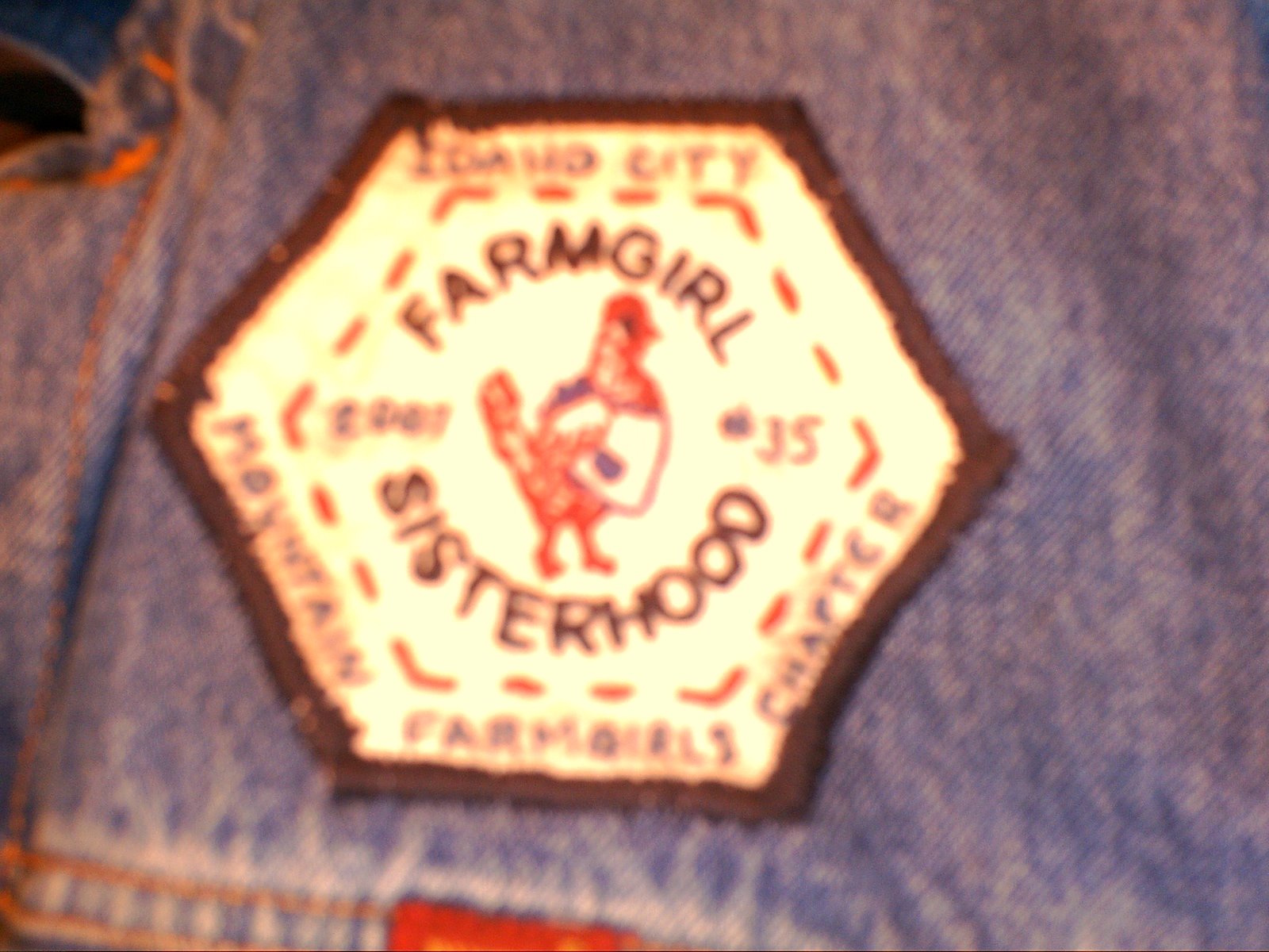 [Farmgirl+badge.JPG]