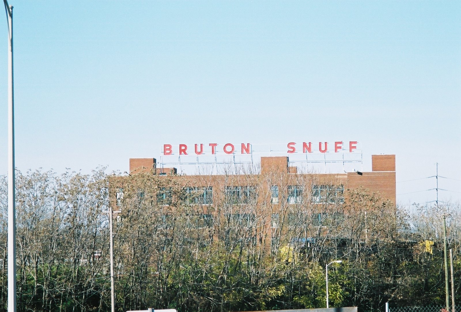 [Bruton+Snuff.JPG]