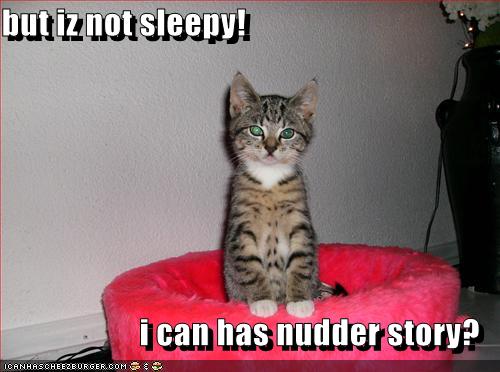 [funny-pictures-kitten-bedtime-story.jpg]