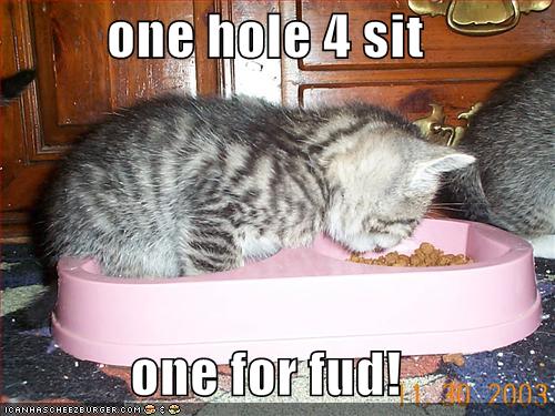 [funny-pictures-kitten-foodbowl-eat.jpg]