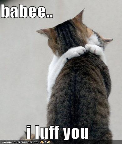 [lolcats-funny-picture-baby-i-love-you.jpg]