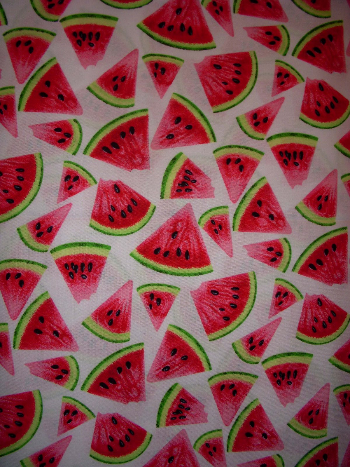 [Watermelon+quilt+back+0708.jpg]