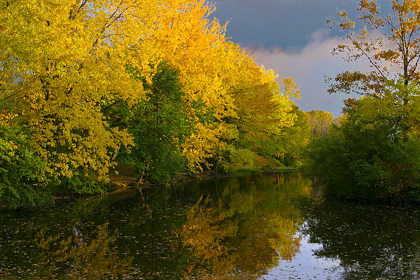 [Elmwood+Pond+Autumn+#2318+adj2-567.jpg]