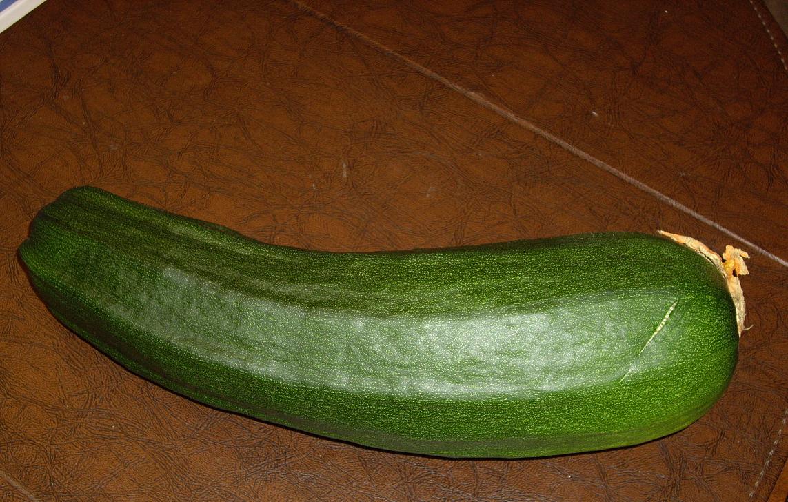 [zucchini1.JPG]