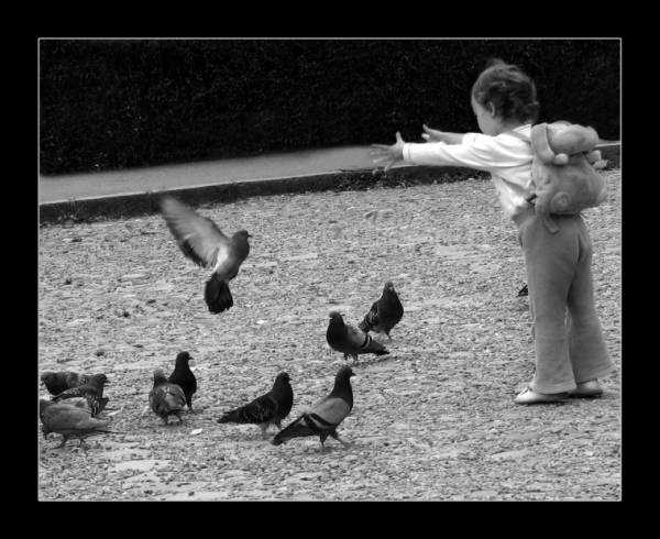 [baby_and_pigeons.jpg]