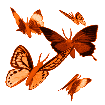 mariposas voladoras